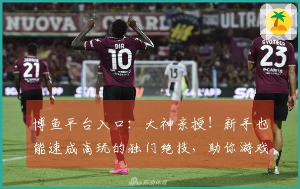 博鱼平台入口：大神亲授！新手也能速成高玩的独门绝技，助你游戏战力飙升！