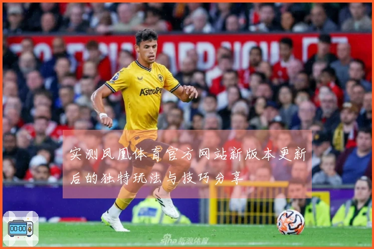 实测凤凰体育官方网站新版本更新后的独特玩法与技巧分享