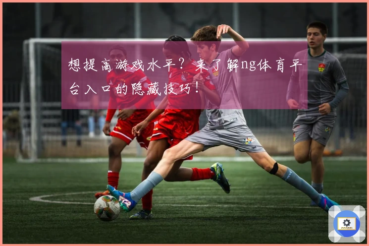 想提高游戏水平？来了解ng体育平台入口的隐藏技巧！